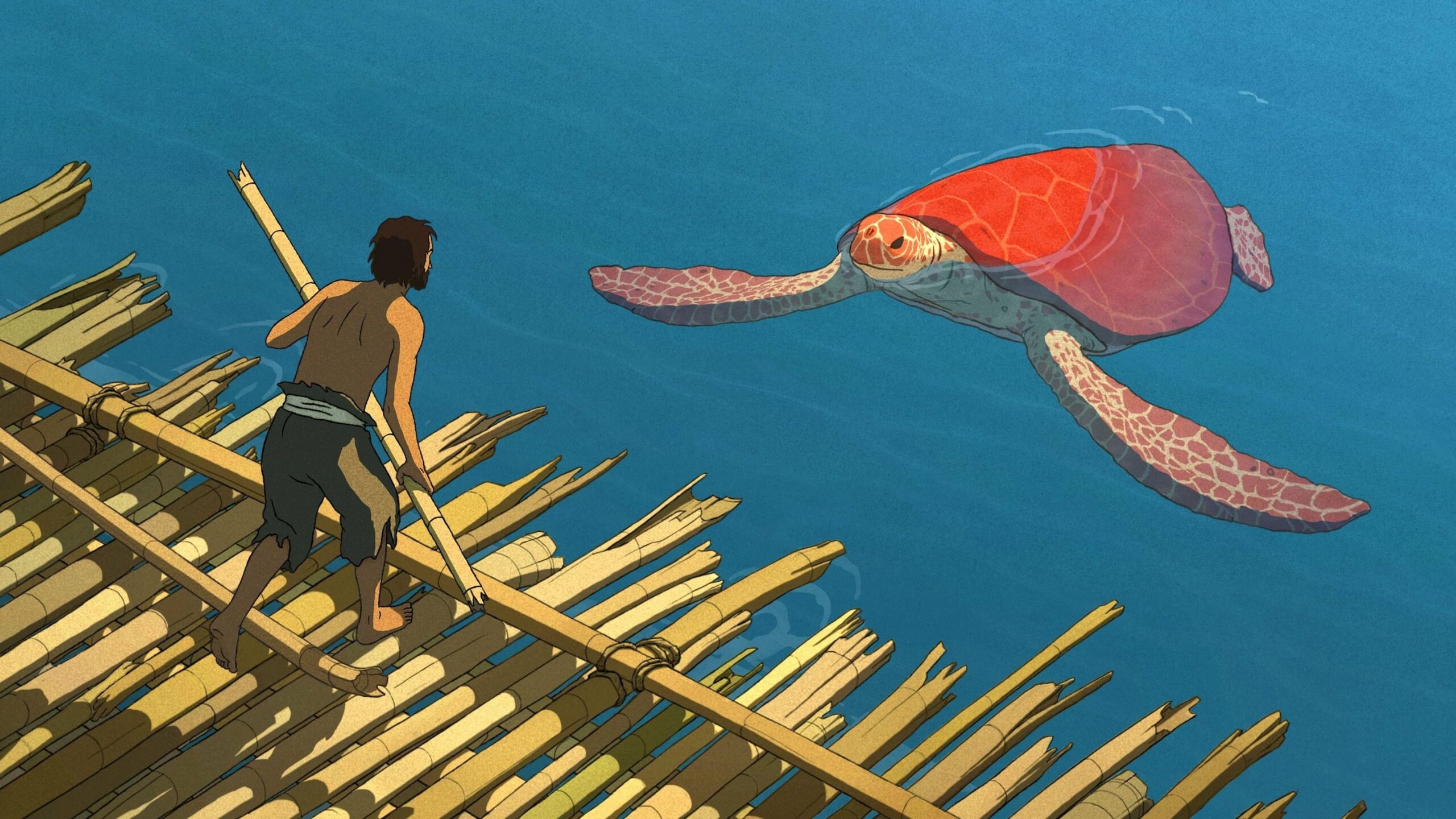 Image du film "La tortue rouge"