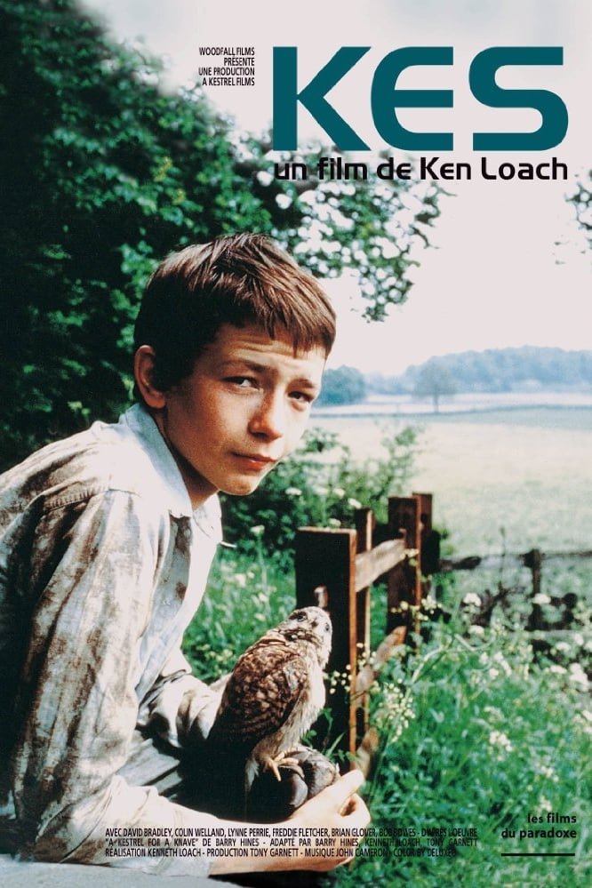 Affiche du film "Kes"