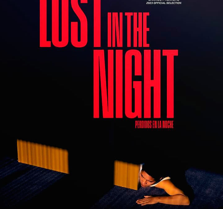 Affiche du film "Lost In The Night"