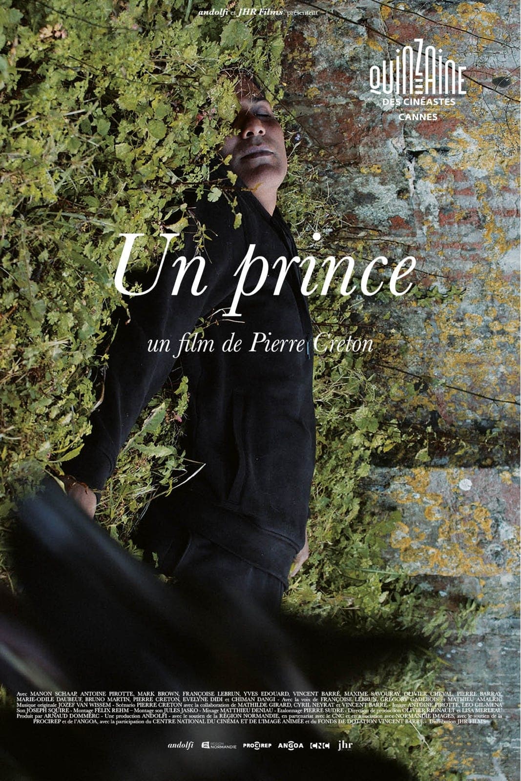 Affiche du film "Un prince"