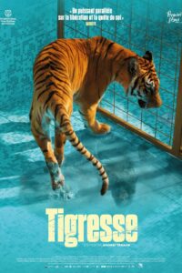Affiche du film "Tigresse"