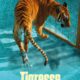 Affiche du film "Tigresse"