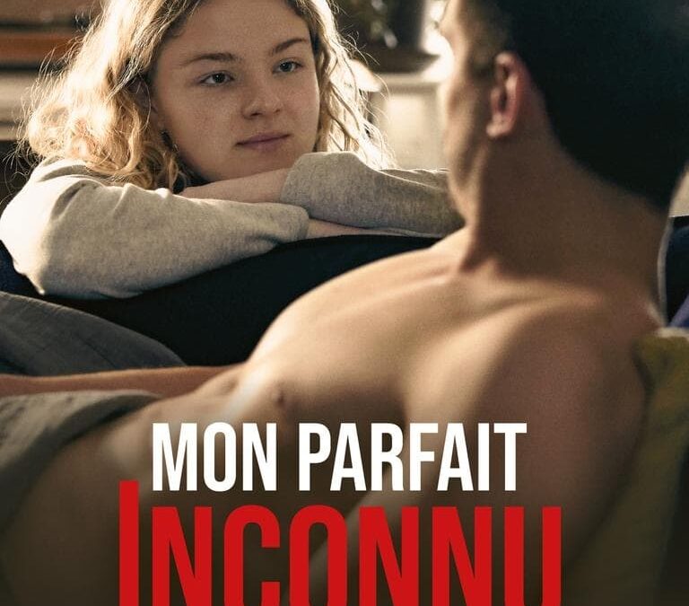 Affiche du film "Mon parfait inconnu"