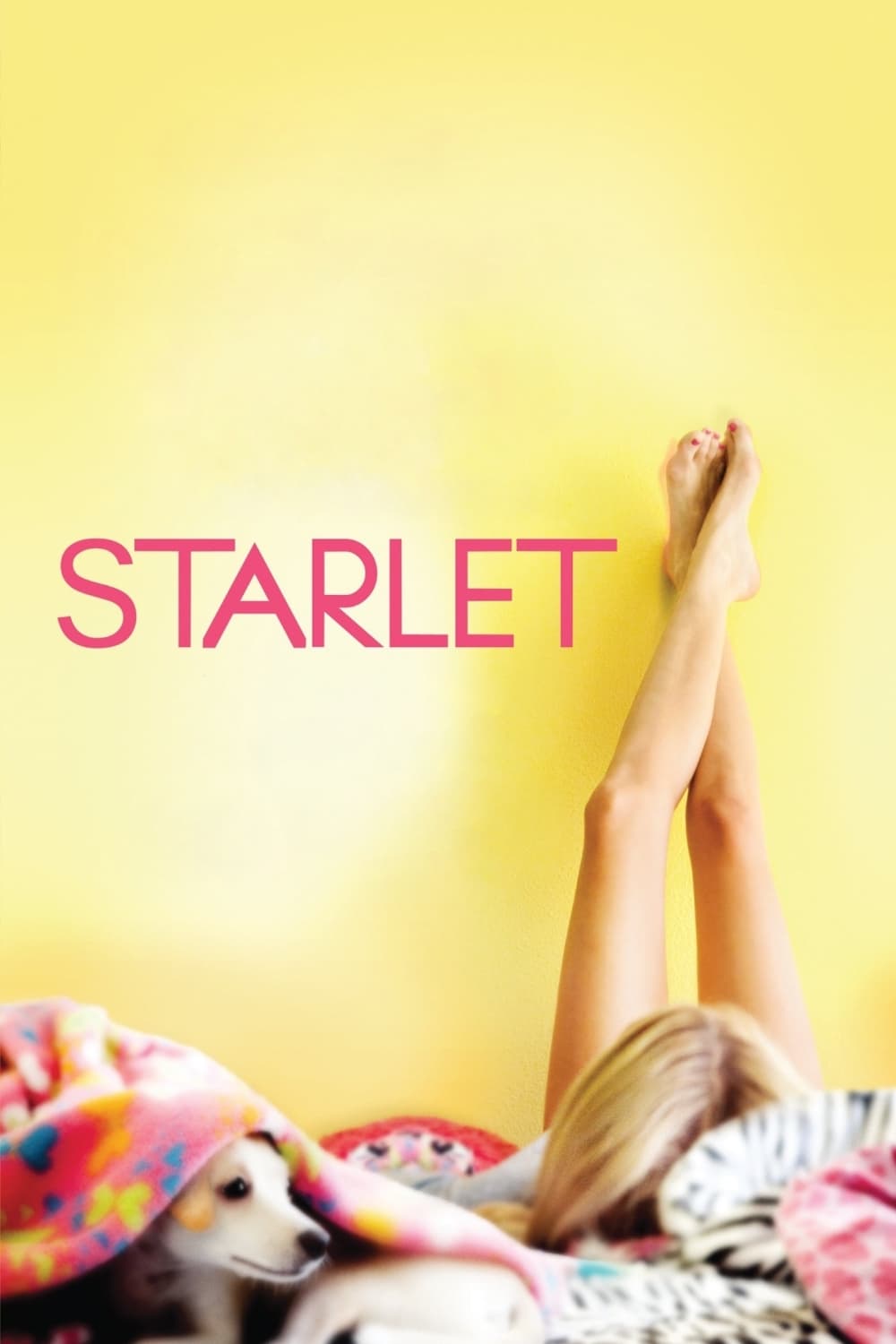 Affiche du film "Starlet"