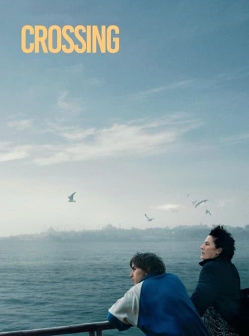 Affiche du film "Crossing Istanbul"