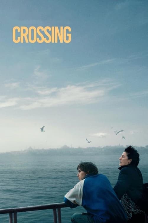 Affiche du film "Crossing Istanbul"