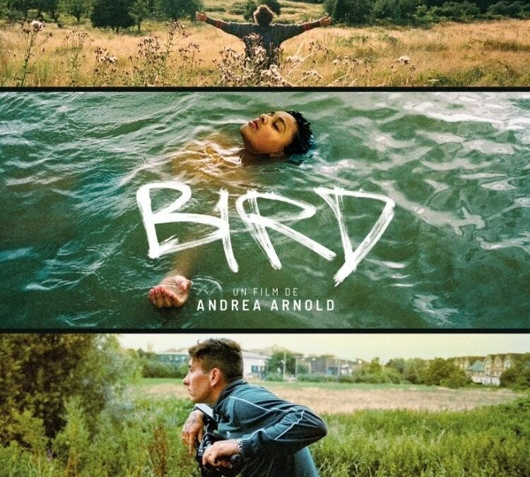 Affiche du film "Bird"