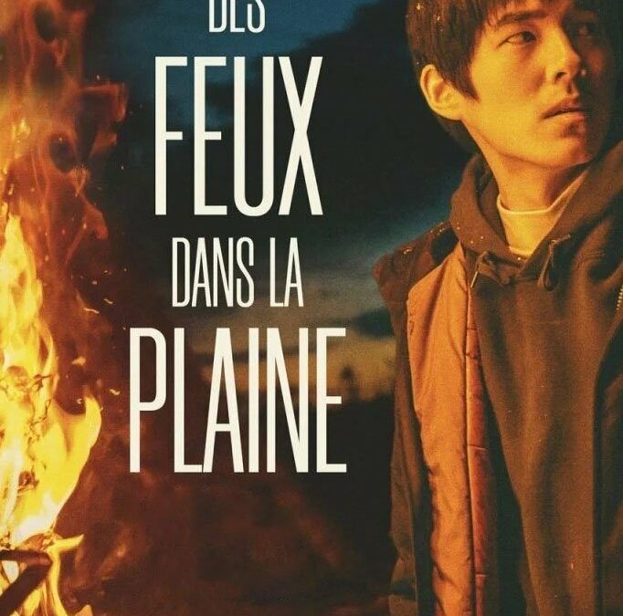 Affiche du film "Des Feux dans la Plaine"