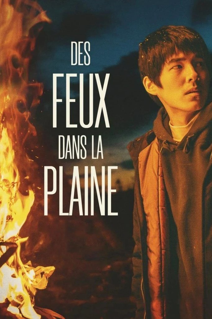 Affiche du film "Des Feux dans la Plaine"