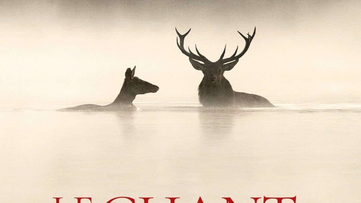 Affiche du film "Le chant des forêts"