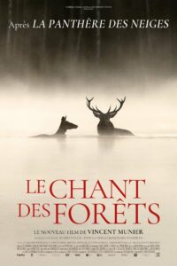 Affiche du film "Le chant des forêts"