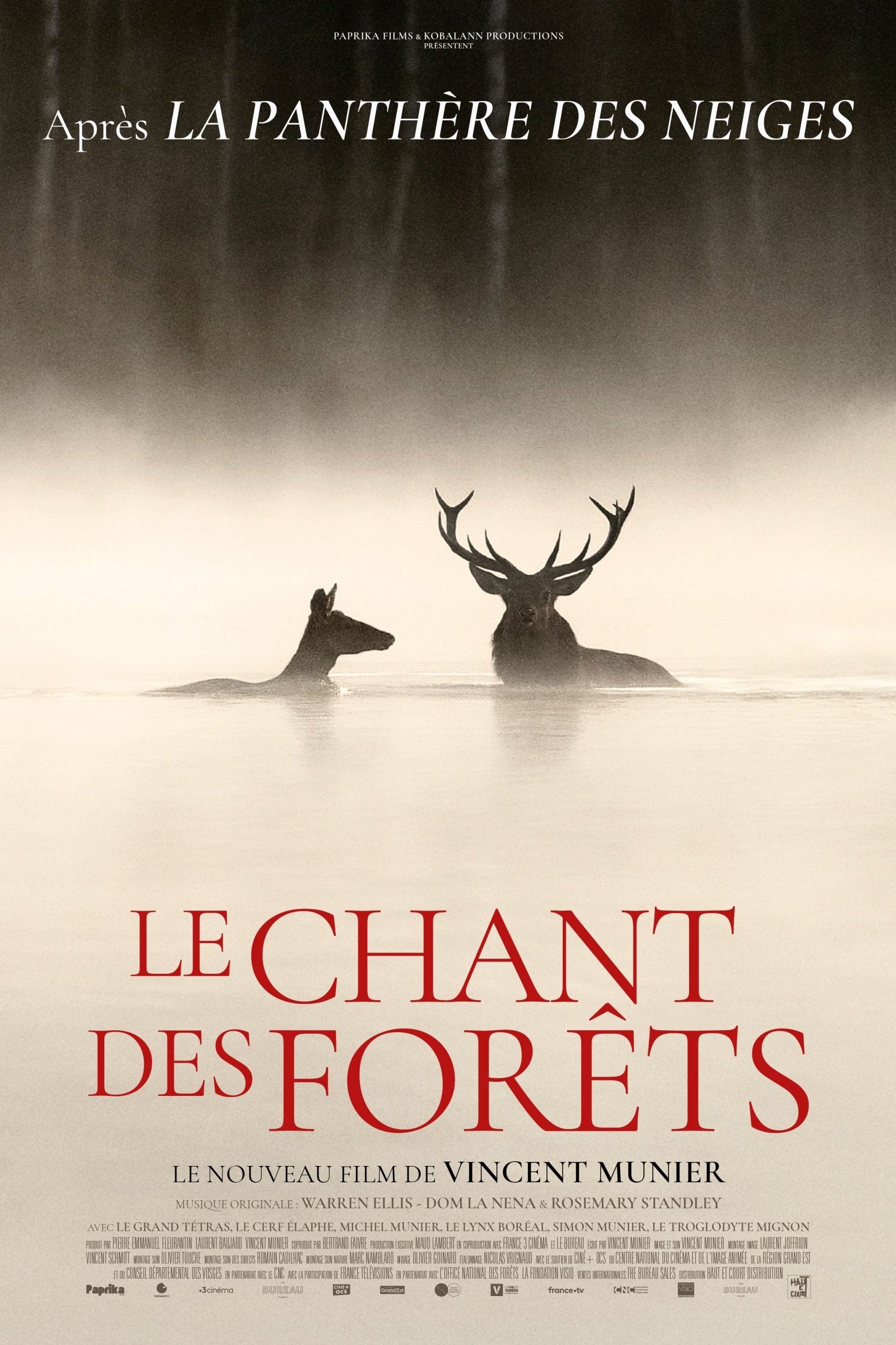 Affiche du film "Le chant des forêts"