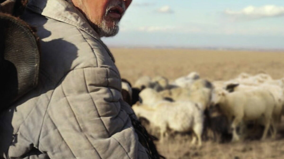 Affiche du film "Abel"