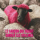 Affiche du film ""
