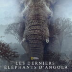 Affiche du film ""