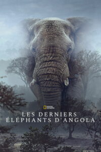 Affiche du film ""