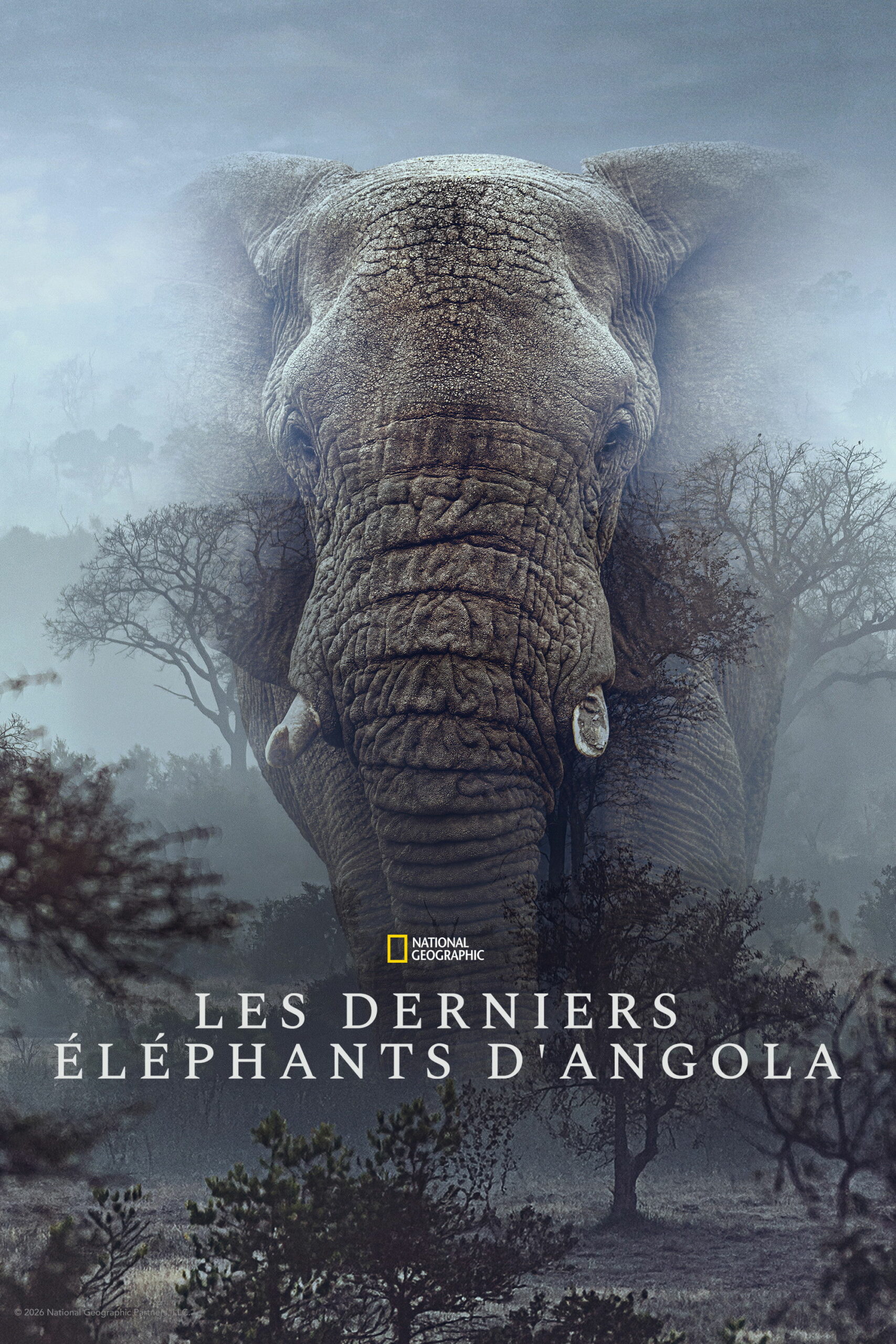Affiche du film ""