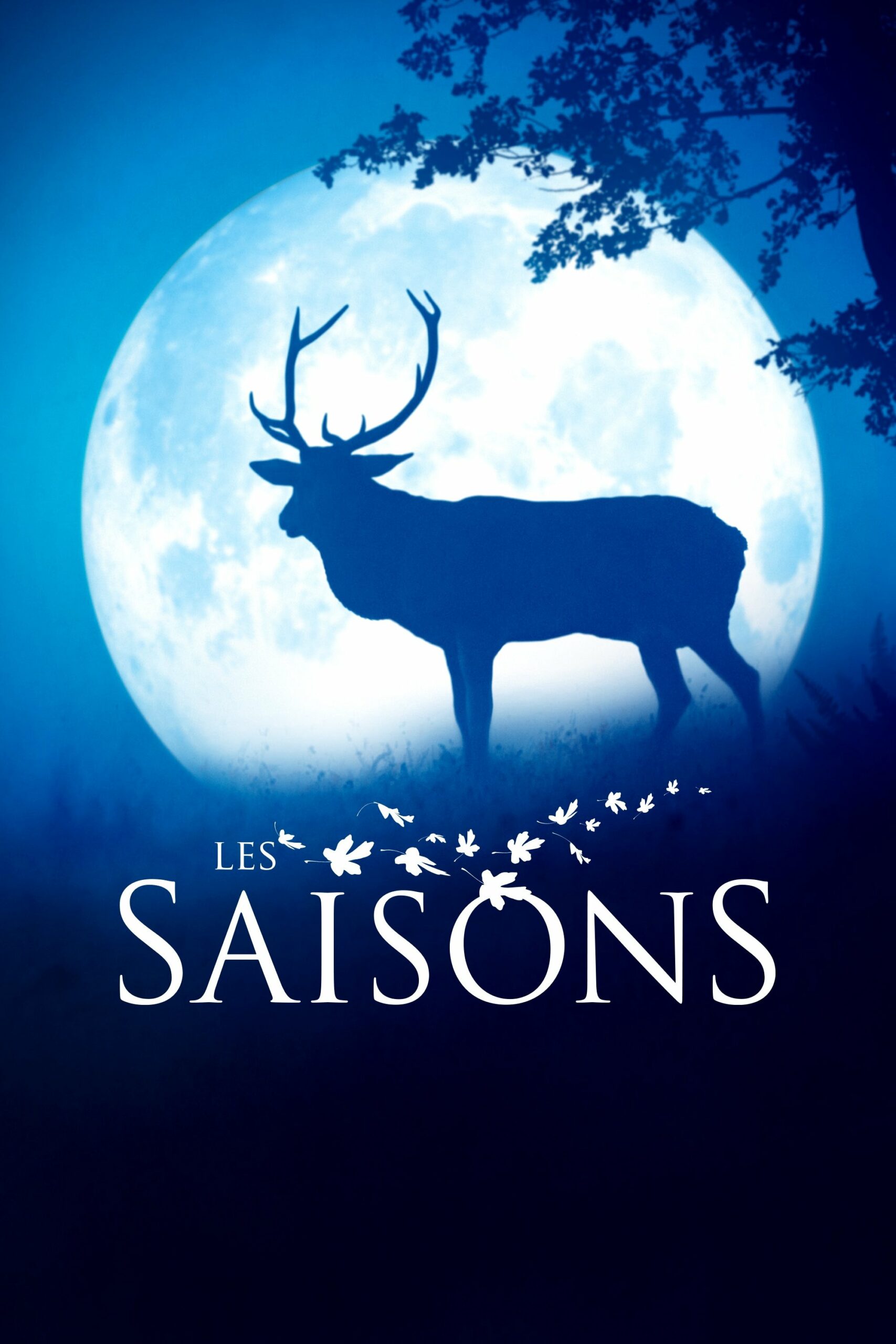 Affiche du film "Les Saisons"