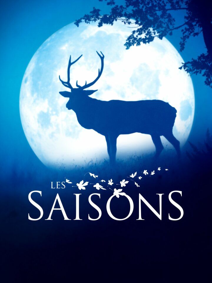 Affiche du film "Les Saisons"