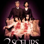 Affiche du film "2 sœurs"