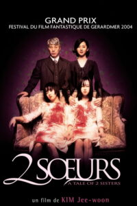 Affiche du film "2 sœurs"